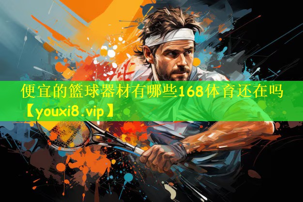 便宜的篮球器材有哪些168体育还在吗