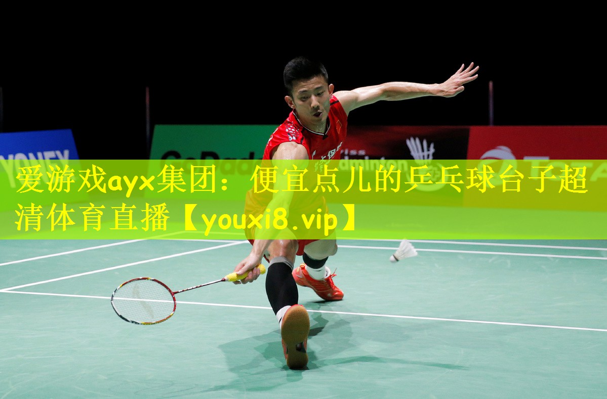 爱游戏ayx集团:便宜点儿的乒乓球台子超清体育直播