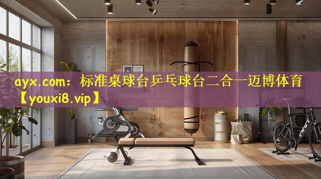 ayx.com:标准桌球台乒乓球台二合一迈博体育
