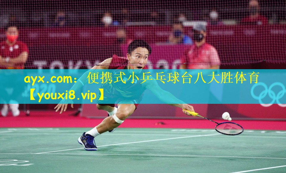 ayx.com:便携式小乒乓球台八大胜体育