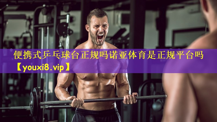 便携式乒乓球台正规吗诺亚体育是正规平台吗