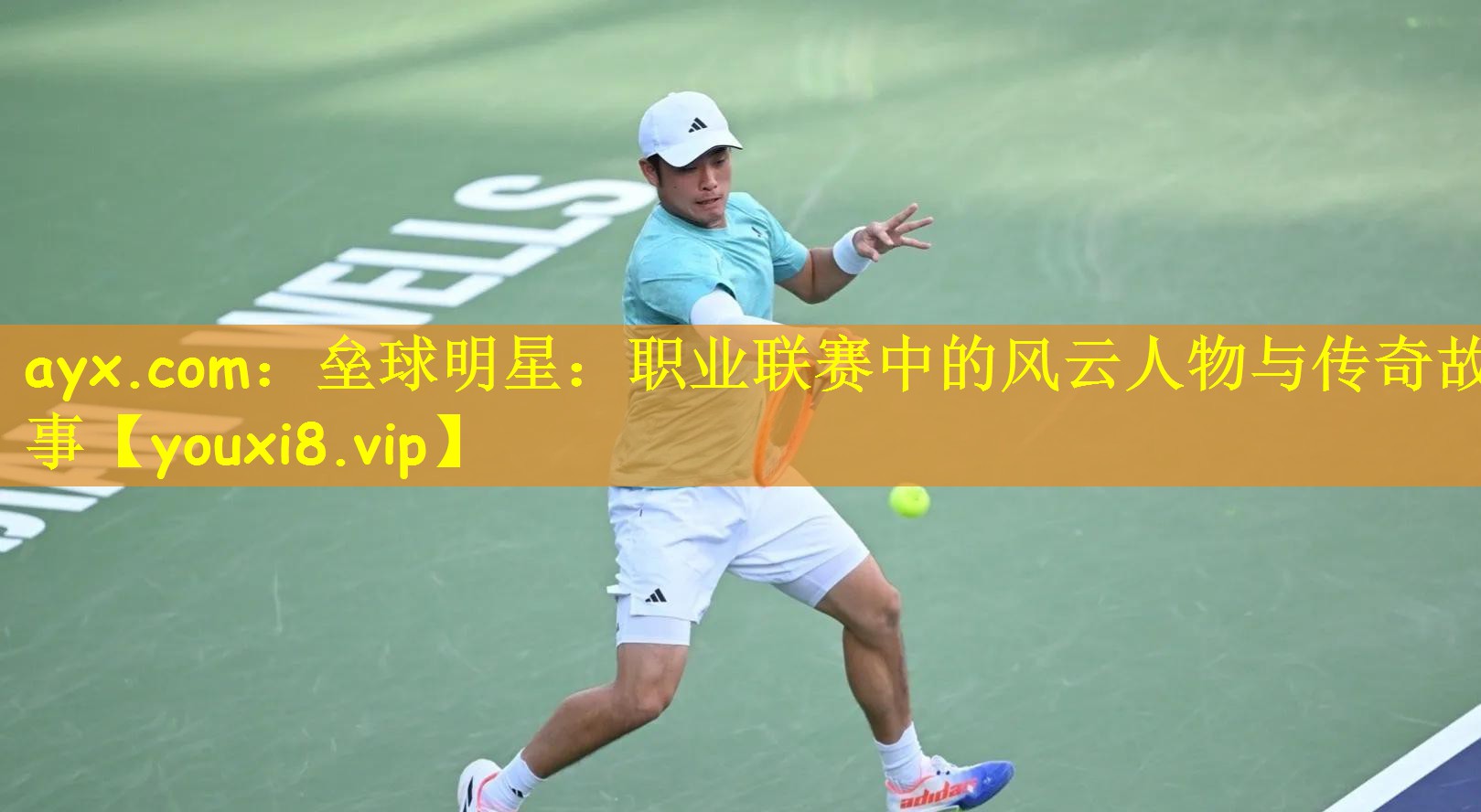ayx.com:垒球明星:职业联赛中的风云人物与传奇故事