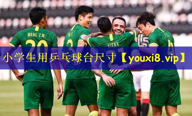 小学生用乒乓球台尺寸